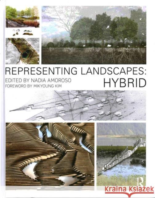 Representing Landscapes: Hybrid: Hybrid Amoroso, Nadia 9781138778399