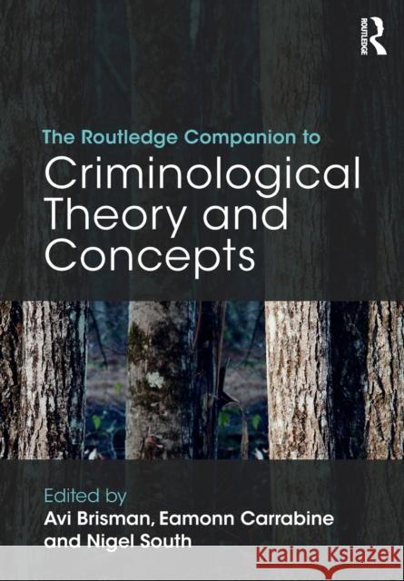 The Routledge Companion to Criminological Theory and Concepts Avi Brisman Eamonn Carrabine Nigel South 9781138819009 Routledge