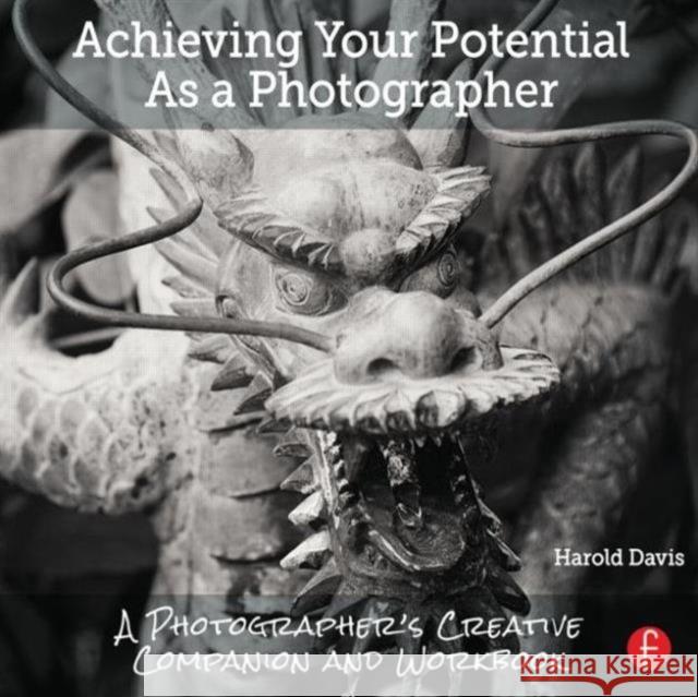 Achieving Your Potential as a Photographer: A Creative Companion and Workbook Harold Davis 9781138826366 Focal Press