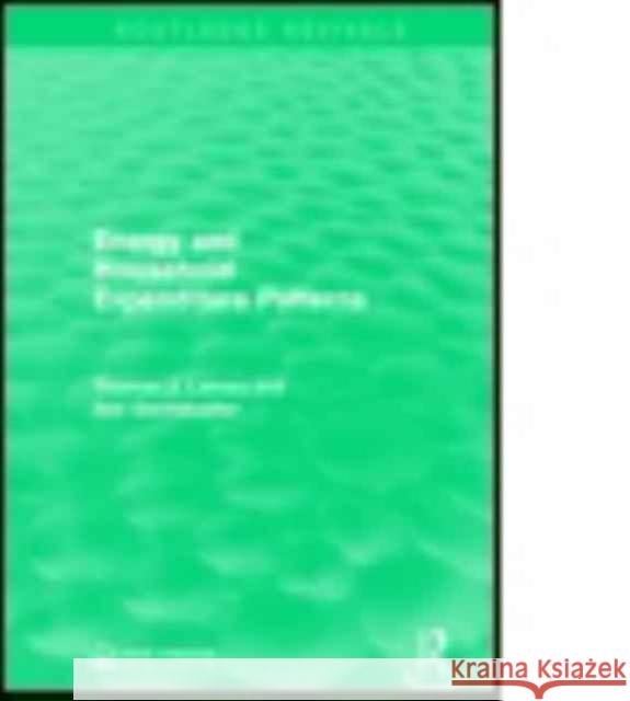 Energy and Household Expenditure Patterns Thomas J. Lareau Joel Darmstadter 9781138953109 Routledge