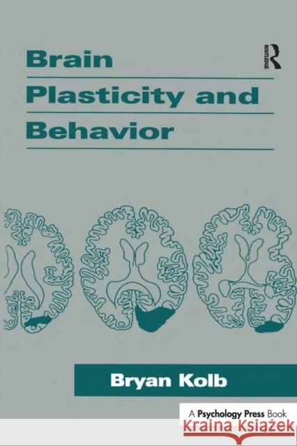 Brain Plasticity and Behavior Bryan Kolb   9781138964976 Taylor and Francis
