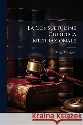 La Consuetudine Giuridica Internazionale: Saggio Critico Arrigo Cavaglieri 9781144388414 