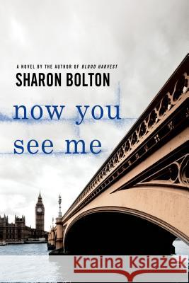 Now You See Me: A Lacey Flint Novel S. J. Bolton 9781250001634 Minotaur Books