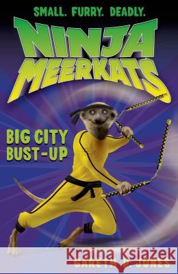 Ninja Meerkats (#6): Big City Bust-Up Gareth Jones Luke Finlayson 9781250034038 Square Fish