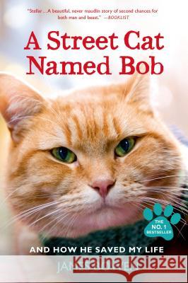 A Street Cat Named Bob and How He Saved My Life Bowen, James 9781250048677 St. Martin's Griffin