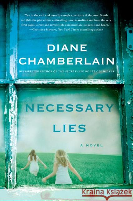 Necessary Lies Diane Chamberlain 9781250054517 St. Martin's Griffin