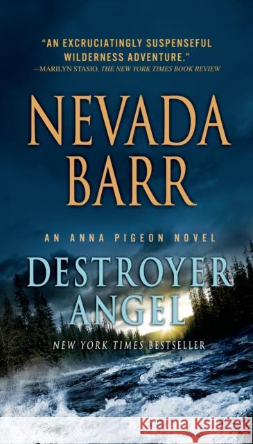 Destroyer Angel Nevada Barr 9781250058478 Minotaur Books