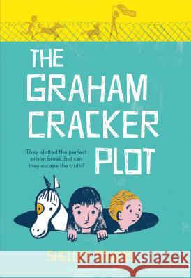 The Graham Cracker Plot Shelley Tougas 9781250068101