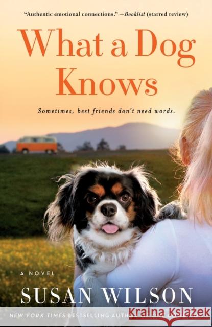 What a Dog Knows Susan Wilson 9781250077271 St. Martin's Griffin