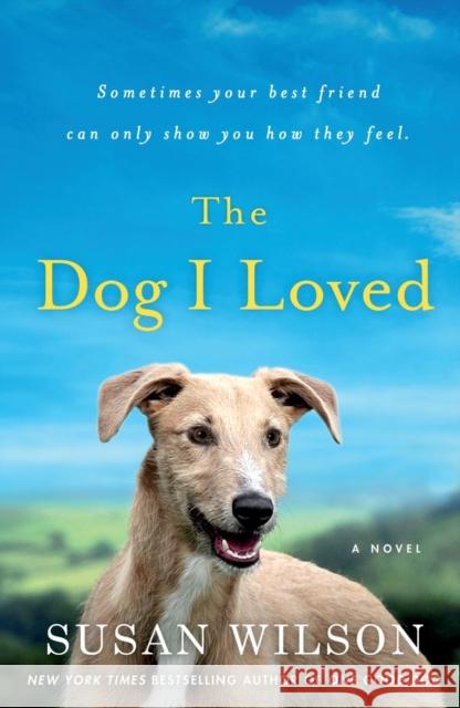 The Dog I Loved Susan Wilson 9781250078155