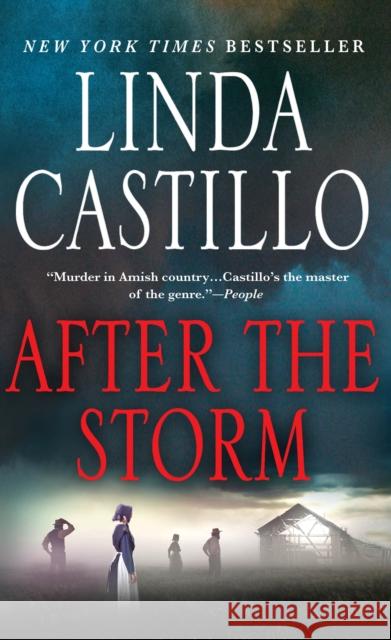 After the Storm Linda Castillo 9781250078322 Minotaur Books