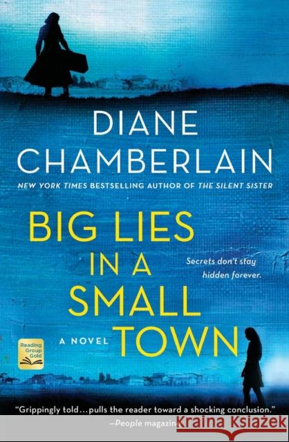 Big Lies in a Small Town Diane Chamberlain 9781250087348 St. Martin's Griffin