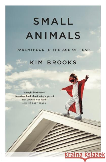 Small Animals: Parenthood in the Age of Fear Kim Brooks 9781250089557 St Martin's Press