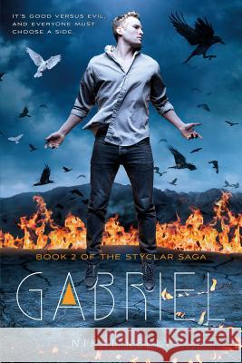 Gabriel: Book 2 of the Styclar Saga Nikki Kelly 9781250090669 Square Fish