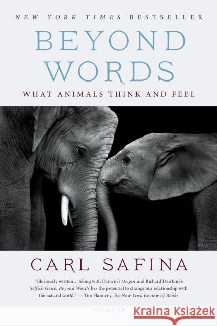 Beyond Words: What Animals Think and Feel Safina, Carl 9781250094599 Picador USA