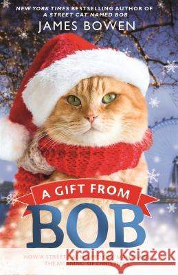 A Gift from Bob: How a Street Cat Helped One Man Learn the Meaning of Christmas James Bowen 9781250104960 Thomas Dunne Book for St. Martin's Griffin
