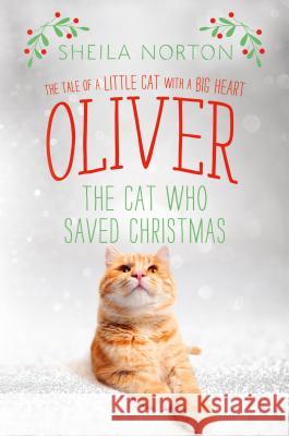 Oliver the Cat Who Saved Christmas: The Tale of a Little Cat with a Big Heart Sheila Norton 9781250108470
