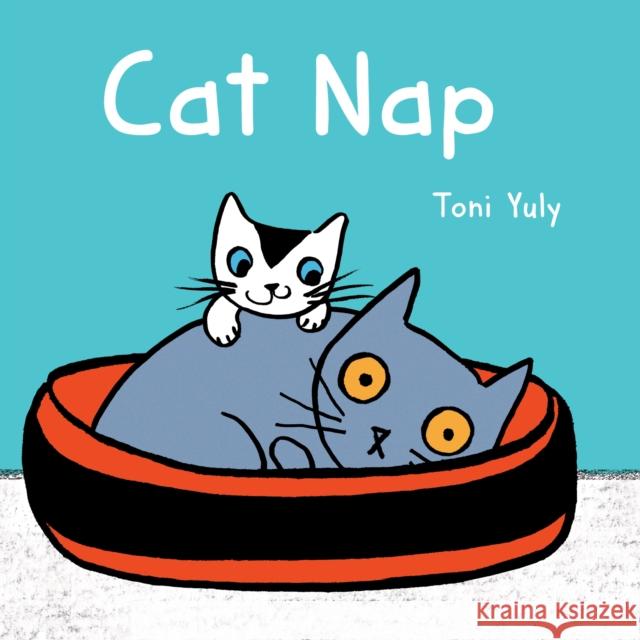 Cat Nap Toni Yuly 9781250112613 Feiwel & Friends