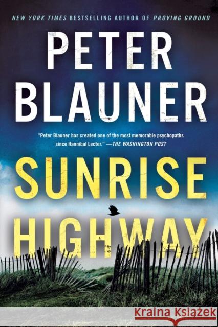 Sunrise Highway Peter Blauner 9781250117427