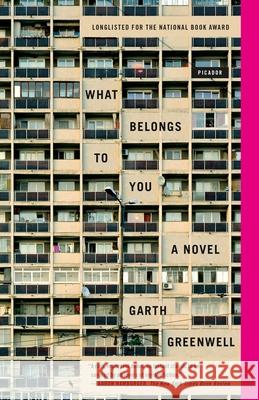 What Belongs to You Garth Greenwell 9781250117892 Picador USA