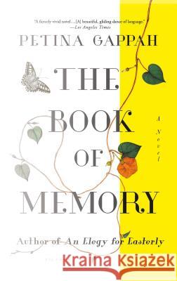 The Book of Memory Petina Gappah 9781250117922 Picador USA