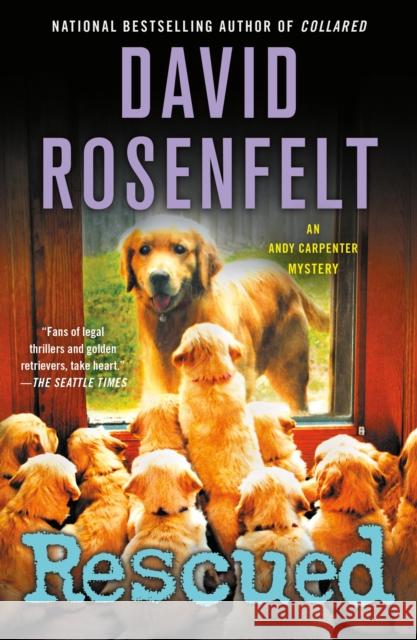 Rescued: An Andy Carpenter Mystery David Rosenfelt 9781250133076 St. Martin's Griffin