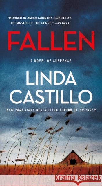 Fallen: A Novel of Suspense Linda Castillo 9781250142931 Minotaur Books