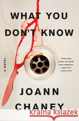 What You Don't Know Joann Chaney 9781250160676 Flatiron Books