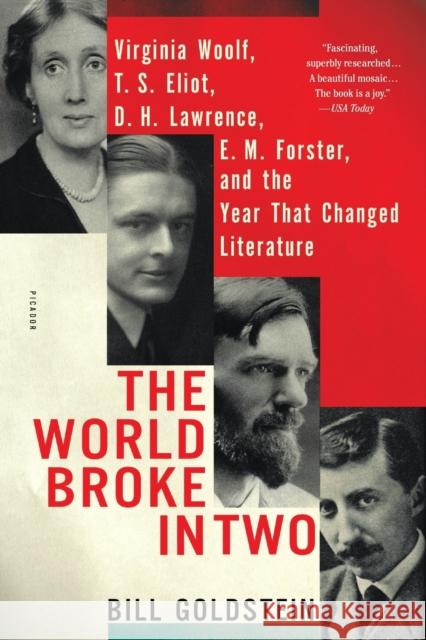 The World Broke in Two: Virginia Woolf, T. S. Eliot, D. H. Lawrence, E. M. Forster, and the Year That Changed Literature Bill Goldstein 9781250182500 Picador USA