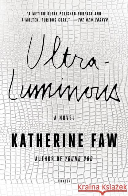 Ultraluminous Katherine Faw Katherine Faw Morris 9781250192738 Picador USA