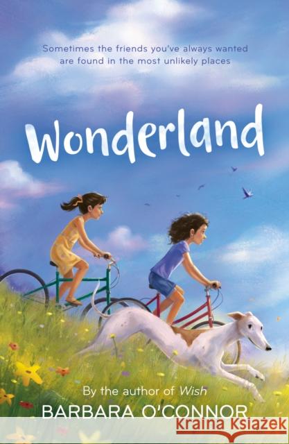 Wonderland Barbara O'Connor 9781250211385