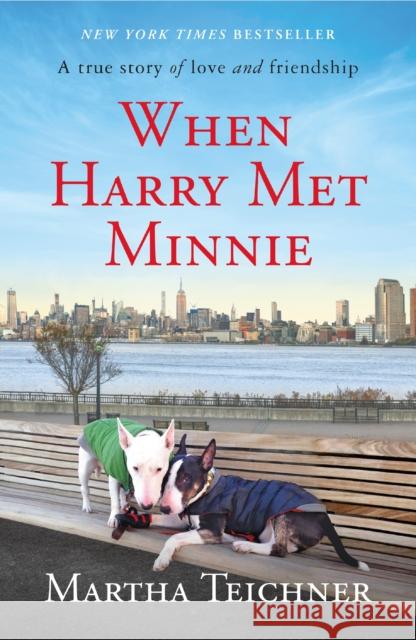 When Harry Met Minnie Teichner, Martha 9781250212528 Celadon Books