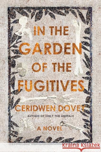 In the Garden of the Fugitives Dovey, Ceridwen 9781250214911