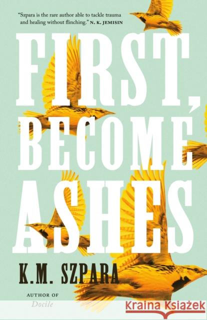 First, Become Ashes K. M. Szpara 9781250216182 St Martin's Press