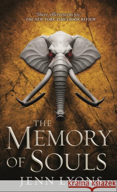 The Memory of Souls Jenn Lyons 9781250225733