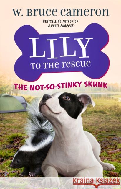 Lily to the Rescue: The Not-So-Stinky Skunk W. Bruce Cameron 9781250234483 Starscape Books