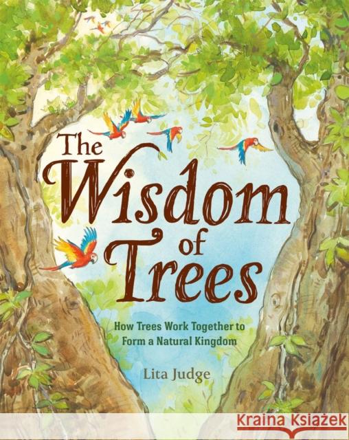 The Wisdom of Trees: How Trees Work Together to Form a Natural Kingdom Judge, Lita 9781250237071