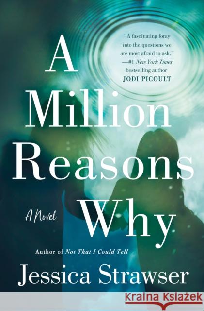 A Million Reasons Why: A Novel Jessica Strawser 9781250241627 St Martin's Press
