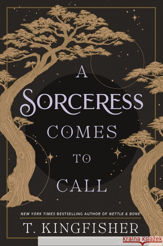 A Sorceress Comes to Call T. Kingfisher 9781250244062 Tor Books