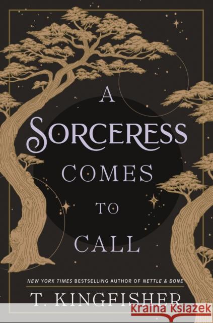 A Sorceress Comes to Call T. Kingfisher 9781250244079 Tor Publishing Group