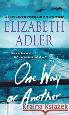 One Way or Another Elizabeth Adler 9781250249845