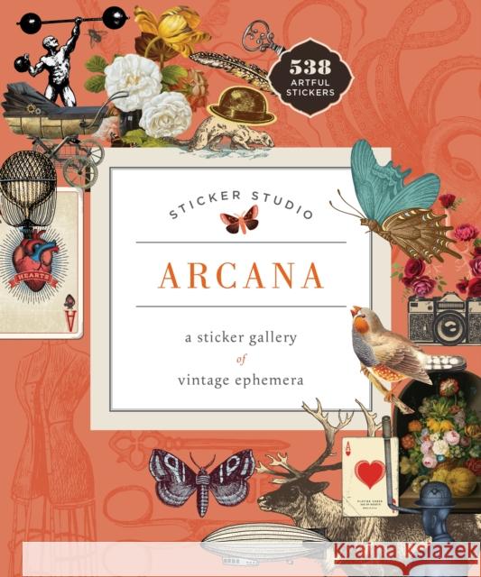 Sticker Studio: Arcana: A Sticker Gallery of Vintage Ephemera Chloe Standish 9781250279330 Castle Point Books