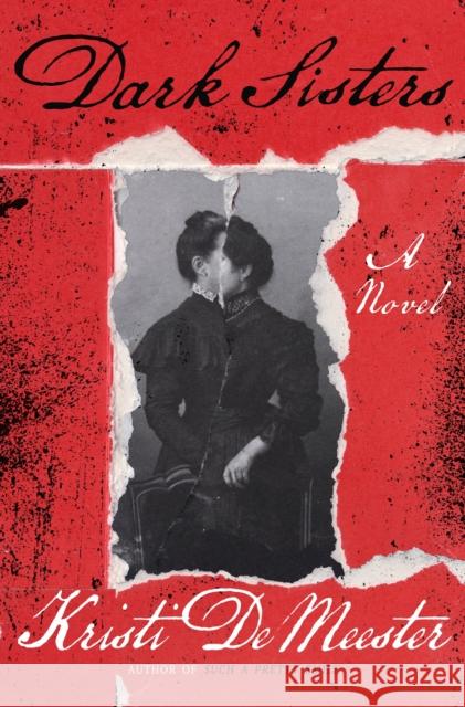 Dark Sisters Kristi DeMeester 9781250286819