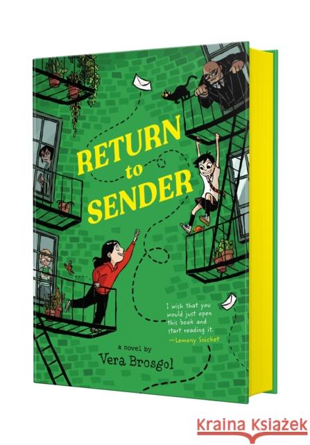 Return to Sender Vera Brosgol 9781250292186