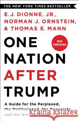 One Nation After Trump Dionne, E. J. 9781250293633 St. Martin's Griffin