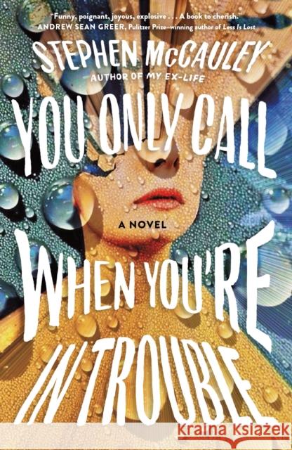 You Only Call When You're in Trouble Stephen McCauley 9781250296818 Holt Paperbacks