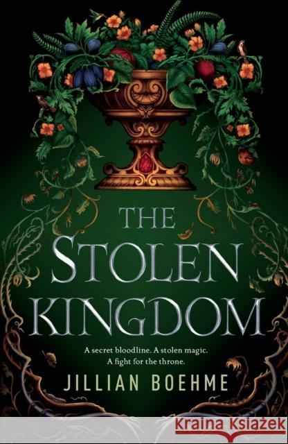 The Stolen Kingdom Jillian Boehme 9781250298843