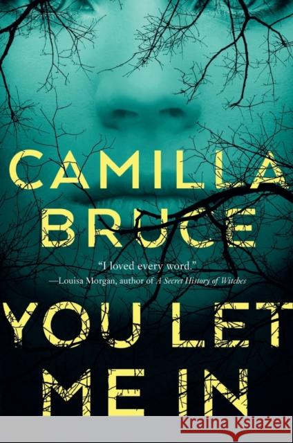 You Let Me in Camilla Bruce 9781250302069