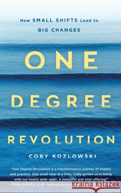 One Degree Revolution: How Small Shifts Lead to Big Changes Kozlowski, Coby 9781250309259 St. Martin's Essentials