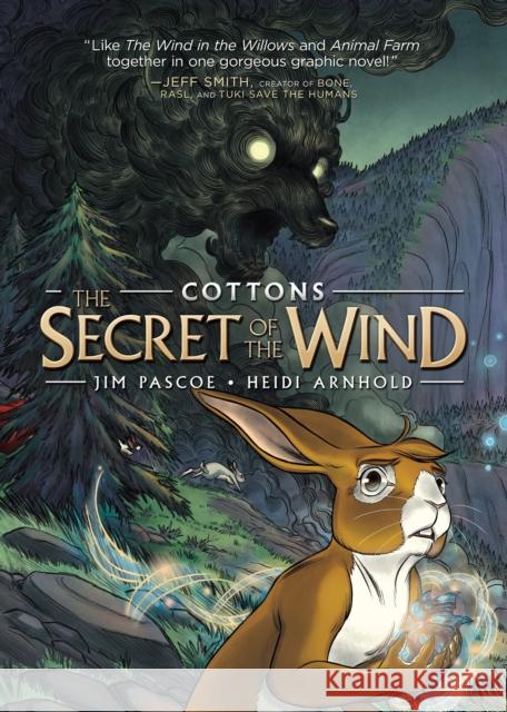 Cottons: The Secret of the Wind Jim Pascoe Heidi Arnhold 9781250309433 First Second